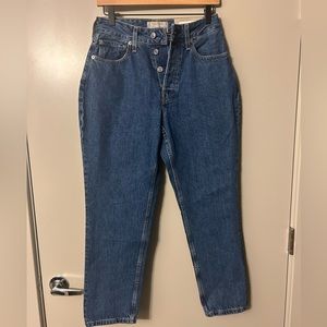 NWT brand new Everlane Curvy 90’s Cheeky Jean size 27